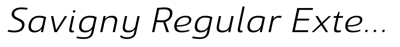 Savigny Regular Extended Italic
